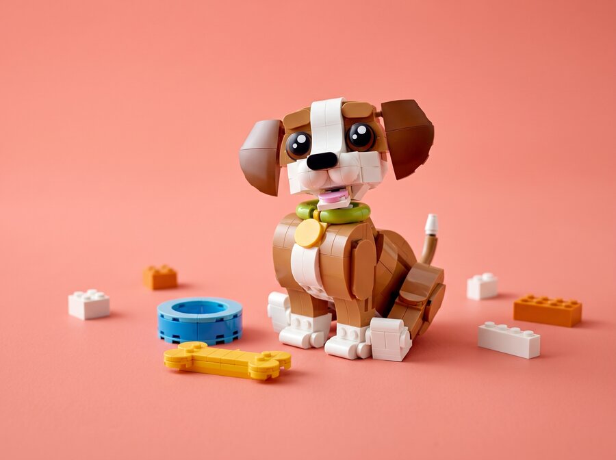 LEGO puppy, bowl and bone on a coral studio background